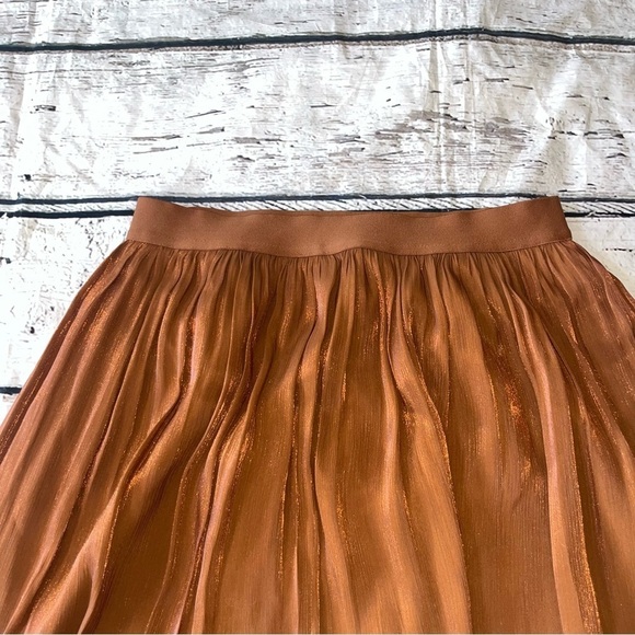 A New Day Pleated Midi Skirt Size S - Picture 3 of 8